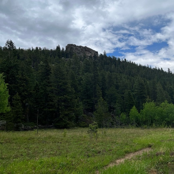 Meet your Posher, Amy - Picture 2 of 2